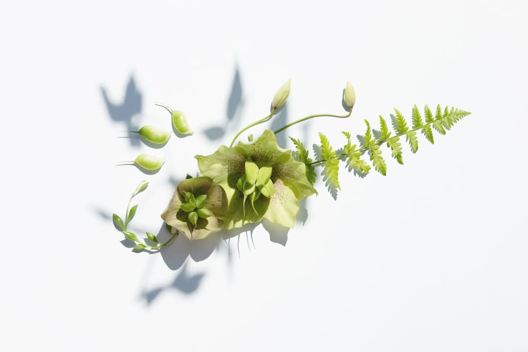 国产新药研究成果登上《BMJ》 为肾病相关瘙痒治疗提供新方案